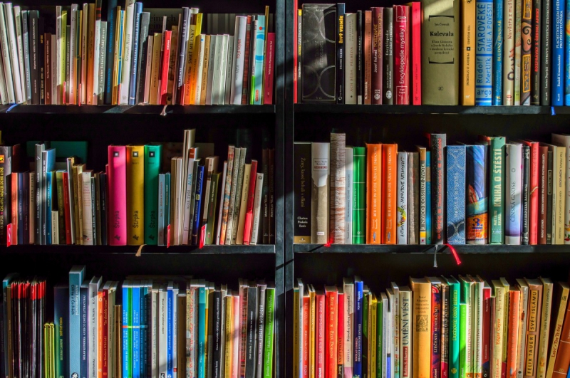 vente-PIERLAS-min_books_bookstore_book_reading_shop_writer_sale_books_read-822866